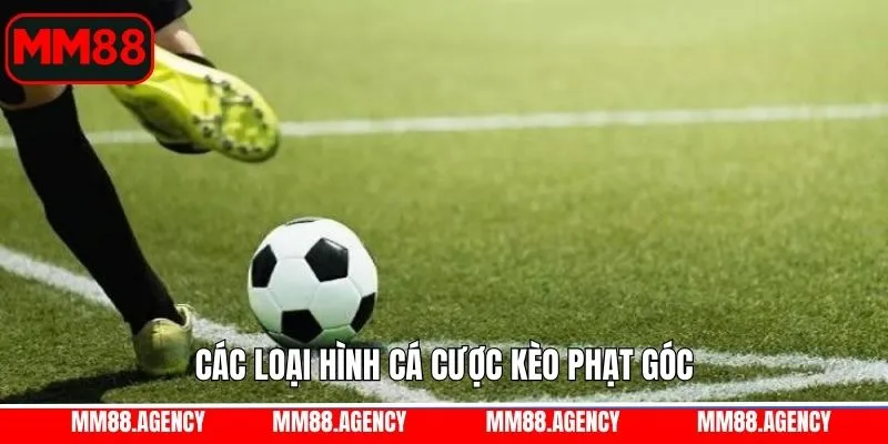 Khám phá các cách đặt cược kèo phạt góc phổ biến nhất MM88 Khám phá các cách đặt cược kèo phạt góc phổ biến nhất MM88